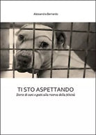Ti sto aspettando di Alessandra Bernardo, 2015, Youcanprint