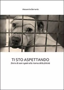 Ti sto aspettando di Alessandra Bernardo, 2015, Youcanprint