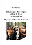 Pellegrinaggio della reliquia San G. Bosco in sud America - Dello Preite, 2013