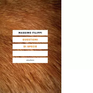 QUESTIONI DI SPECIE di MASSIMO FILIPPI