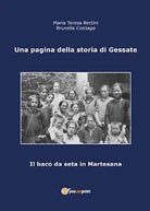 Una pagina della storia di Gessate - Il baco da seta in Martesana Bertini