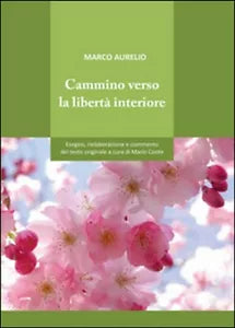 Cammino verso la liberta interiore - Mario Conte, 2015, Youcanprint