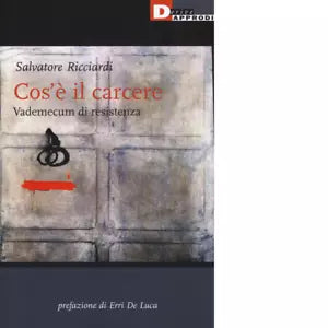 COS E IL CARCERE di SALVATORE RICCIARDI