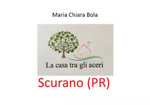 LA CASA TRA GLI ACERI - Scurano PR - Maria Chiara Bola, 2020, Youcanprint