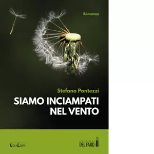 Siamo inciampati nel vento di Pantezzi Stefano