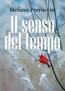 Il senso del tempo di Stefano Perruccio, 2019, Youcanprint