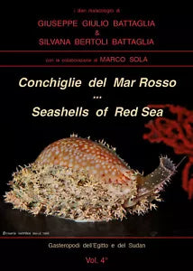 Conchiglie del Mar Rosso-Red Sea’s seashelles. Ediz. bilingue di Giuseppe Giulio