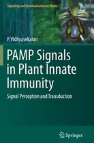 PAMP Signals in Plant Innate Immunity