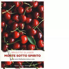 MORTE SOTTO SPIRITO di GLASER
