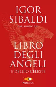 Libro degli angeli e dell io celeste Che angelo sei