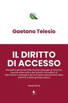 Il diritto di accesso di Gaetano Telesio, 2020, Libellula Edizioni