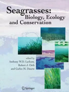 Seagrasses