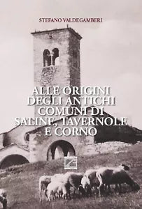 Alle origini degli antichi comuni di Saline