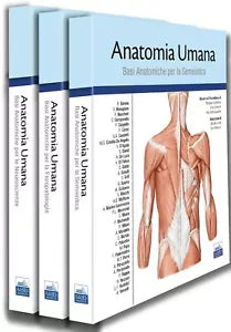 Anatomia umana Cofanetto Basato sul Prometheus