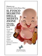 Il fuoco segreto della meditazione di Leonardo Anfolsi, 2018, Fontana Editore