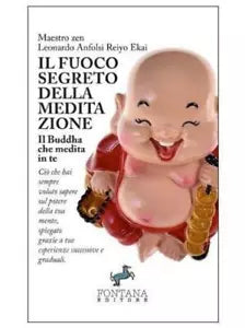 Il fuoco segreto della meditazione di Leonardo Anfolsi, 2018, Fontana Editore