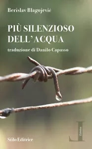 Pi silenzioso dell acqua