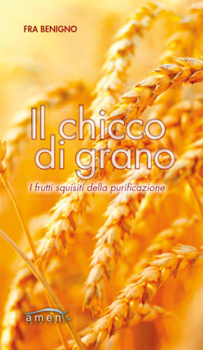 Il chicco di grano I frutti squisiti della purificazione di Benigno