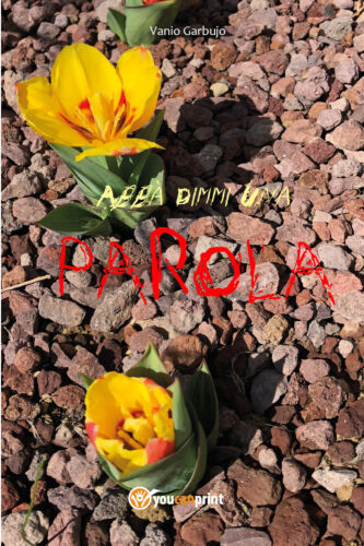Abba dimmi una parola di Vanio Garbujo, 2019, Youcanprint