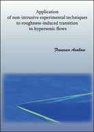 Application of non-intrusive experimental techniques to roughness-induced - ER