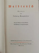 Waldrausch von Ludwig Ganghofer, Th.knaurr Berlin - ER