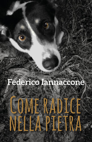 Come radice nella pietra - Federico Iannaccone, 2018, Youcanprint - P