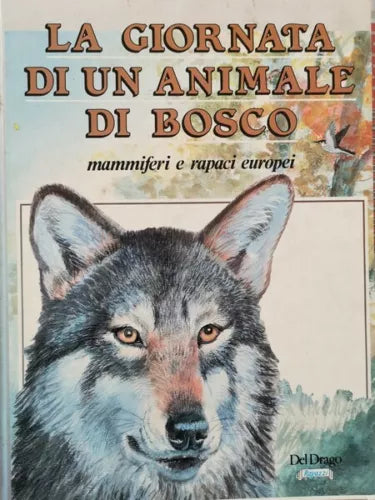 La giornata di un animale nel bosco: mammiferi e rapaci europei 1991 - ER