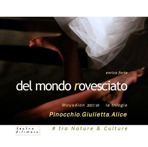 Del mondo rovesciato, di Enrico Forte, 2019, Youcanprint - ER