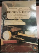 DENTRO IL TESTO - ANTONIO DI CICCO CLAUDIO VENTURI - ZANICHELLI - 1998 - M