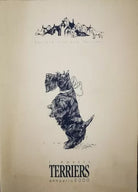 I nostri Terriers: annuario 2000 numero 15 - ER