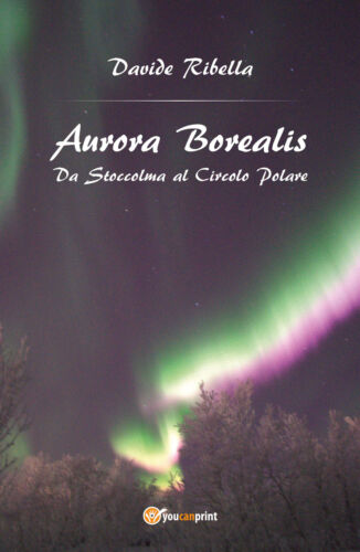 Aurora borealis. Da Stoccolma al circolo polare - Davide Ribella, 2017 - P