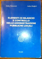 Elementi di bilancio e controllo nelle amministrazioni pubbliche locali