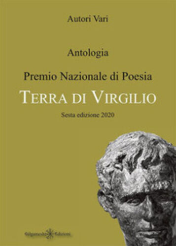Antologia. Premio nazionale di poesia Terra di Virgilio. 6ª edizione di S. Iori,