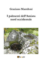 I palmenti dell Amiata nord occidentale di Graziano Mantiloni