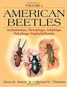 American Beetles