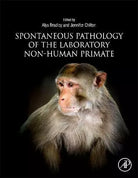 Spontaneous Pathology of the Laboratory Non